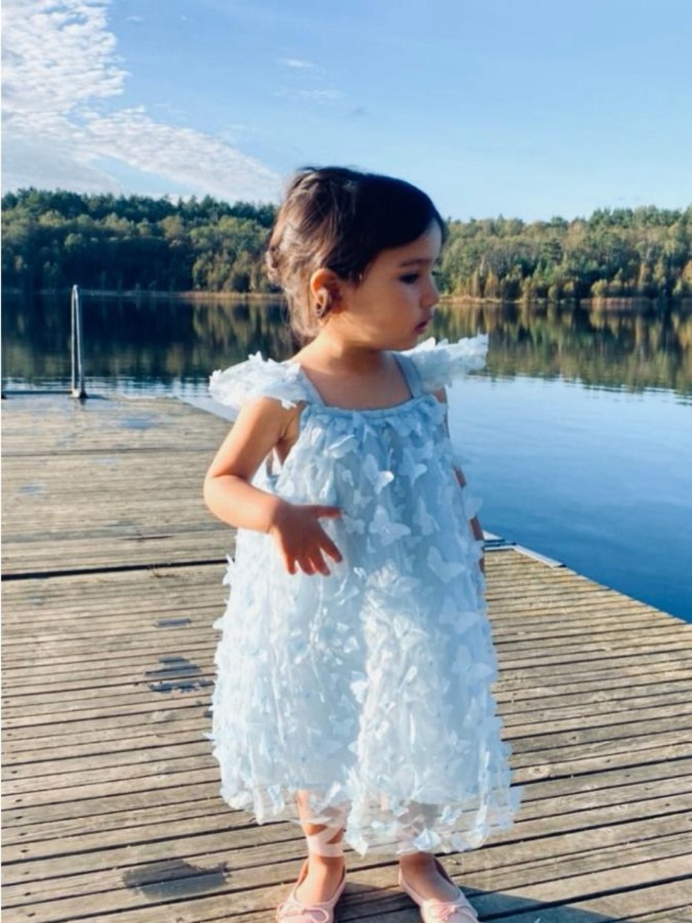 Dolly by Le Petit Tom Allover Butterflies Tutu Dress Blue